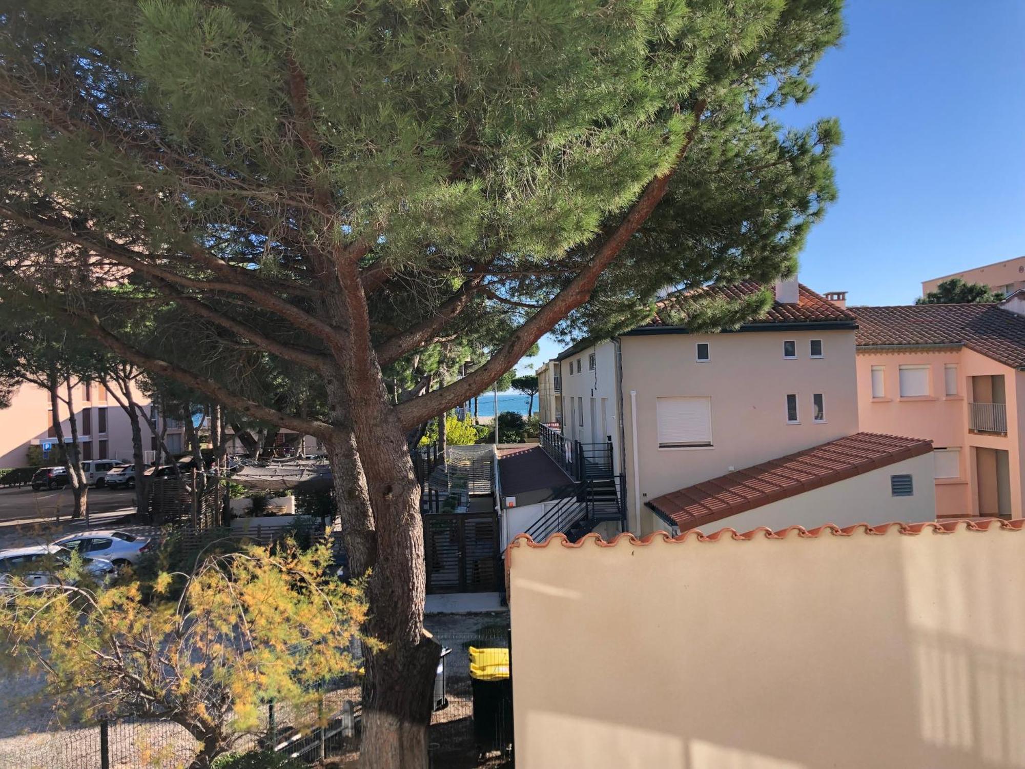 F3 Classe Meuble Tourisme "Gites De France" A 80 Metres De La Plage Argeles-sur-Mer Exterior photo