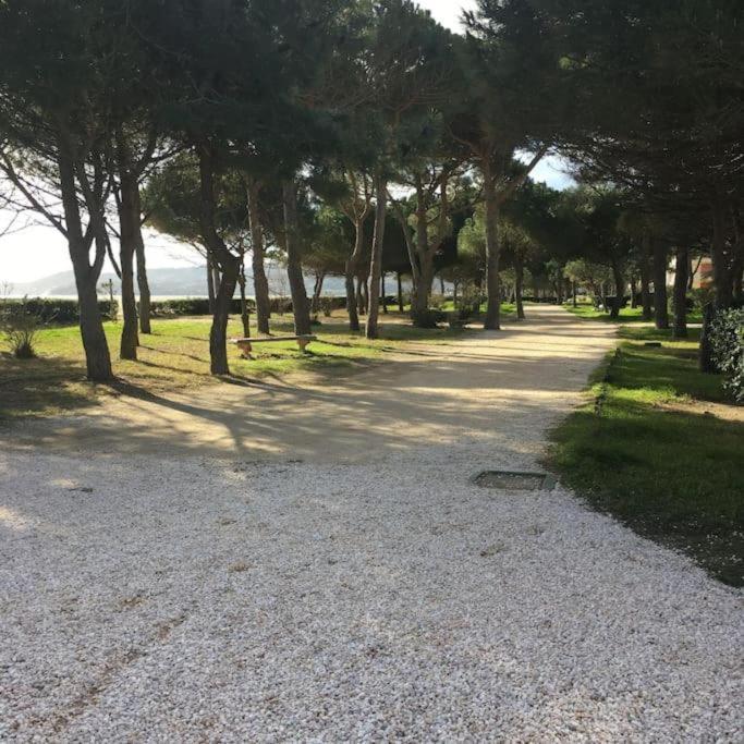F3 Classe Meuble Tourisme "Gites De France" A 80 Metres De La Plage Argeles-sur-Mer Exterior photo