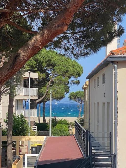 F3 Classe Meuble Tourisme "Gites De France" A 80 Metres De La Plage Argeles-sur-Mer Exterior photo